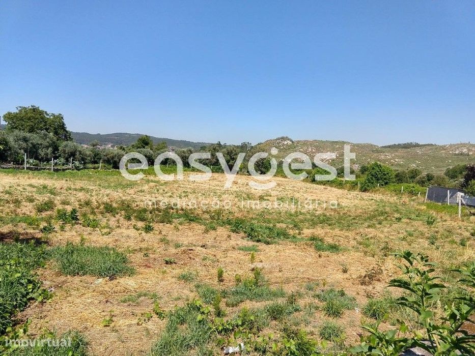 Terreno para Construção com Ruína localizada na Freguesia de Bodiosa
