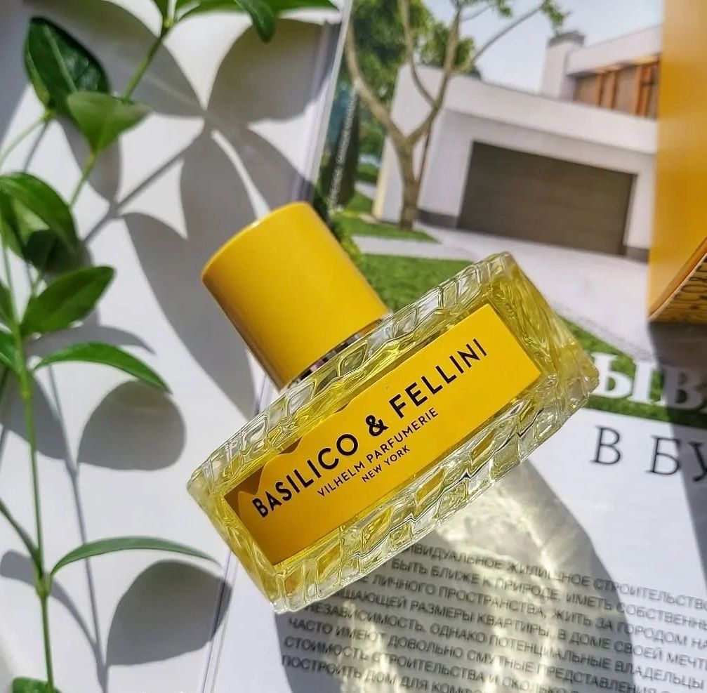 Basilico Fellini
