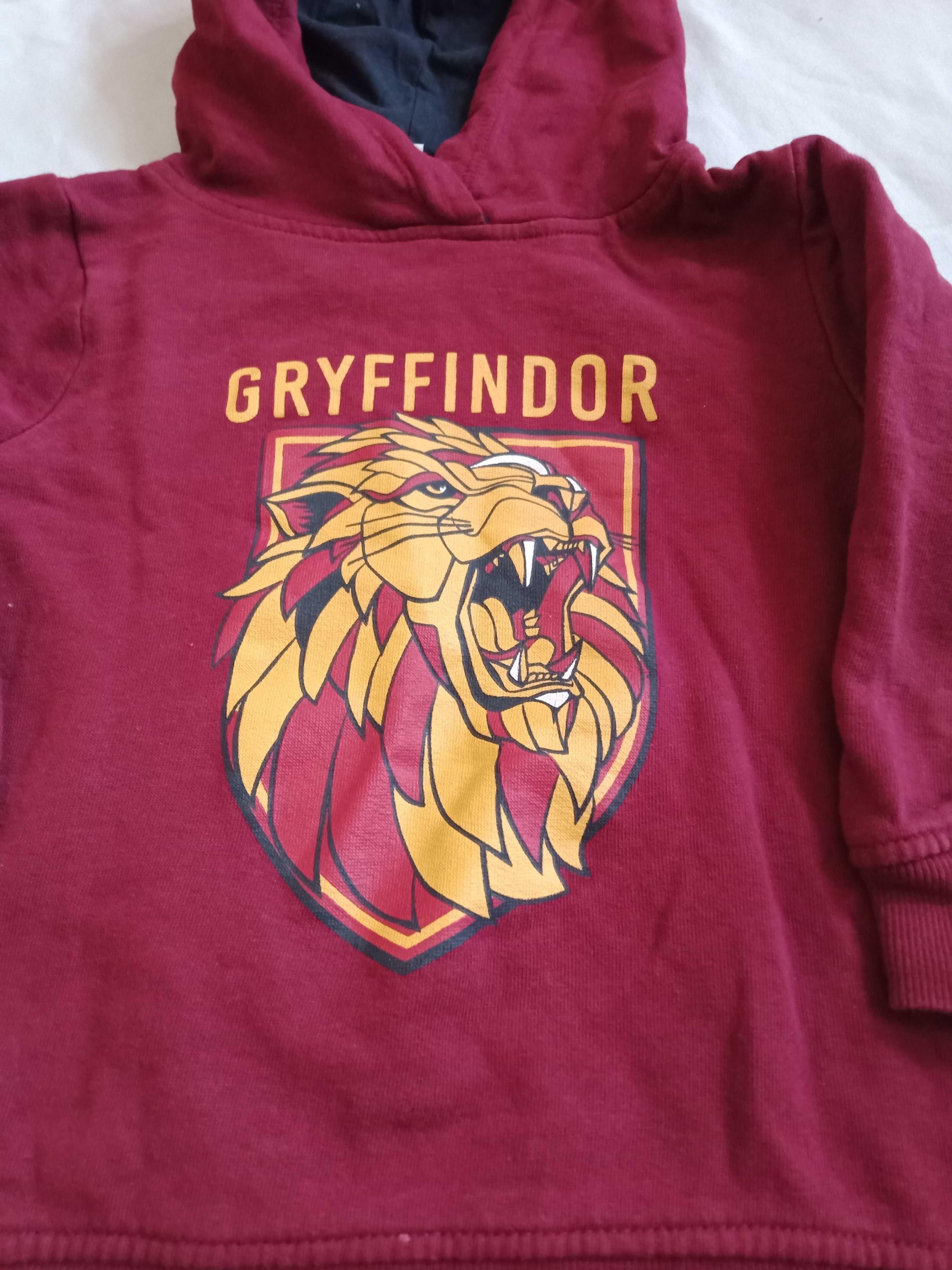 Bluza Harry Potter Gryfindor 110 cm okazja