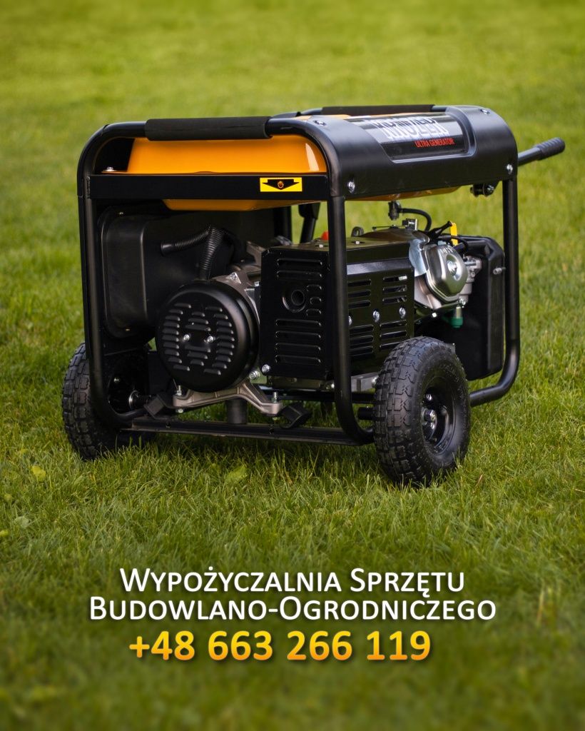 Glebogryzarka wynajmę wypożyczalnia dzik mocna stihl