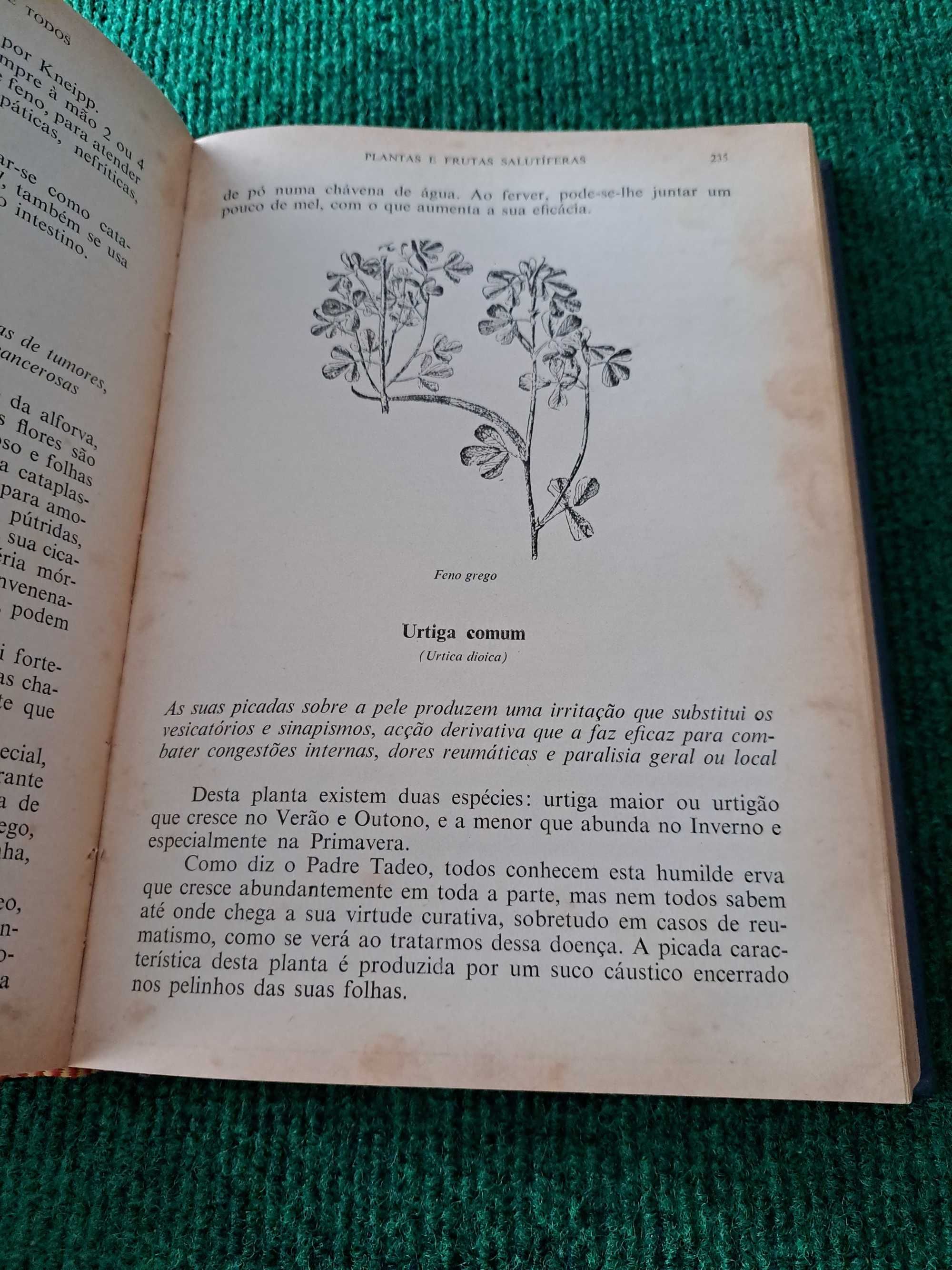 A Medicina Natural ao Alcance de Todos - Manuel Acharan