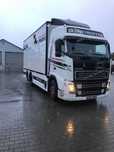 Volvo F13 do przewozu zwierząt