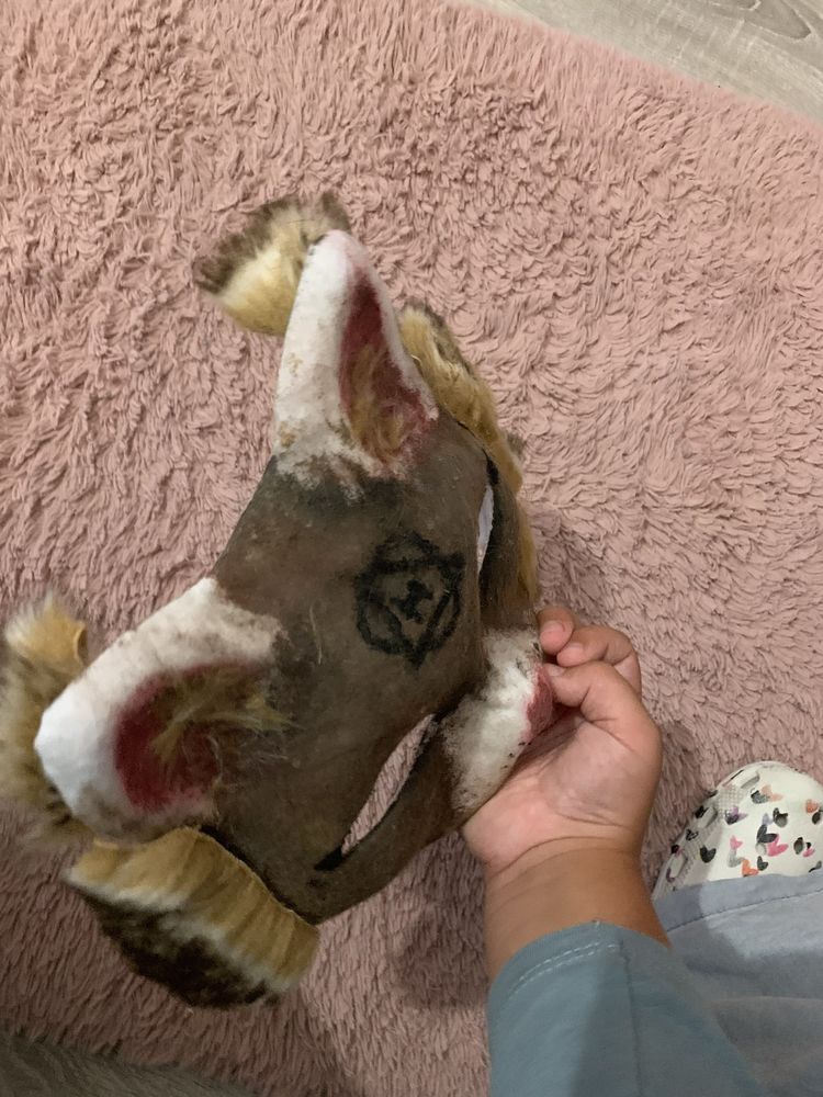 Maska therian brązowy tabby kot