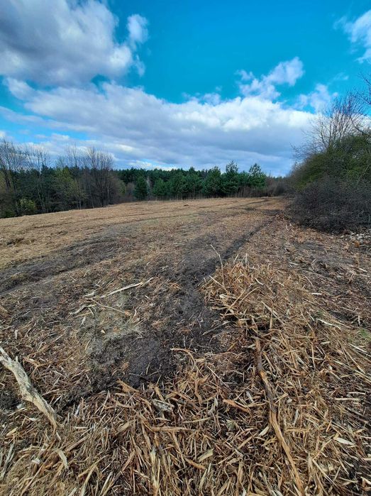 Mulczer Leśny Mulczowanie Wycinka Drzew Koszenie Trawy Ugorów Bijakowa