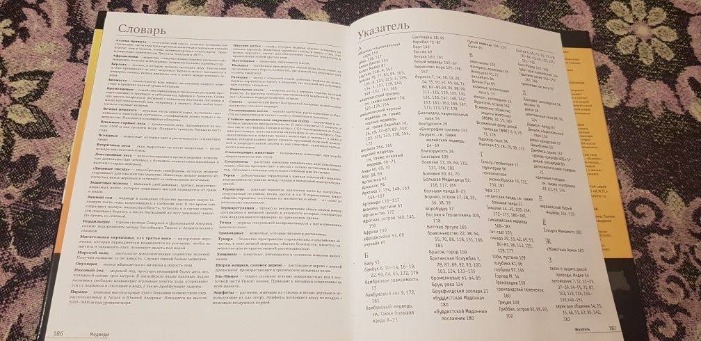 Книга Животные планеты Энциклопедия Медведи Кристина Курвен