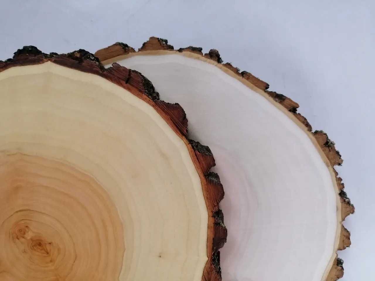 Дерев'яні спили/срез світлі Верба Великий вибір 1-45 см