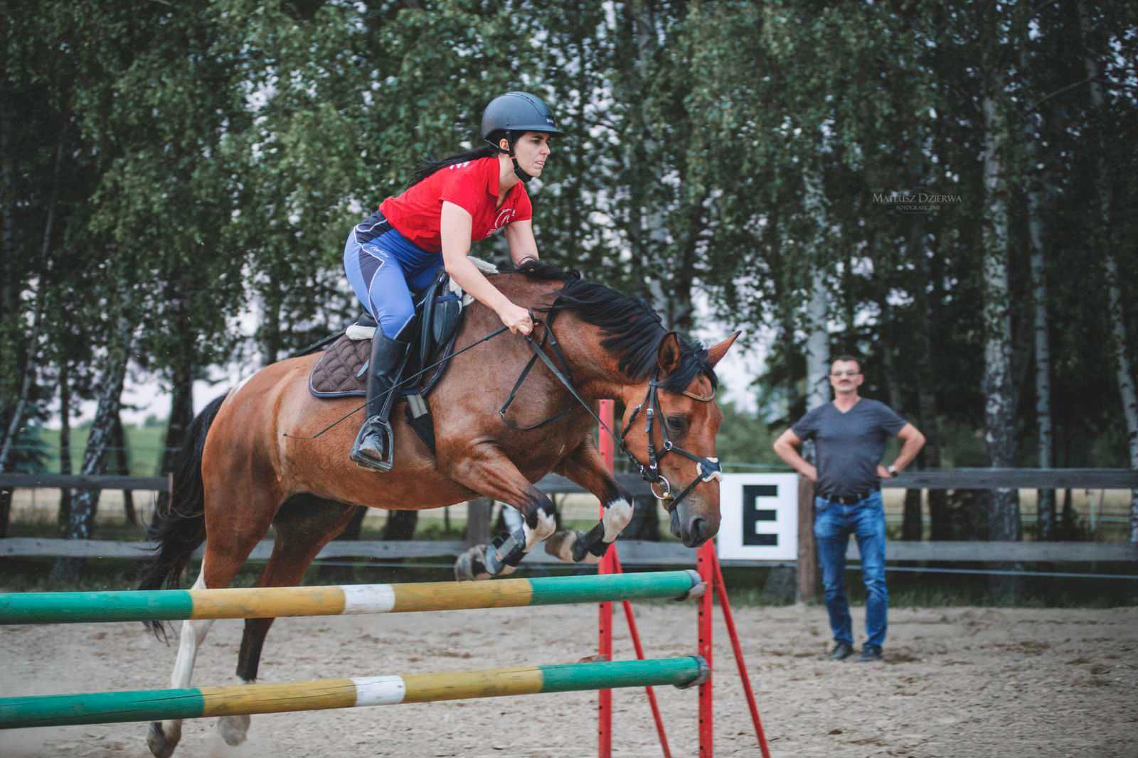 Klacz do małego sportu/ambitnej rekreacji FJORINA 8lat, 144cm