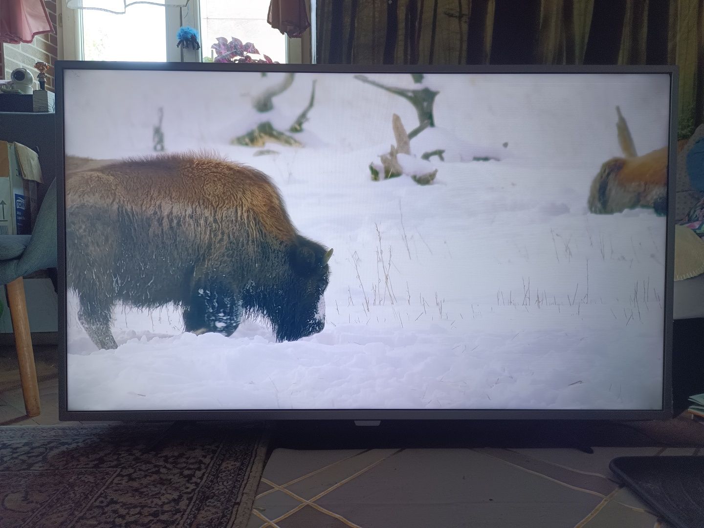 Tv Philips 55" 4K ANDROID DVB-T 2 hevc WiFi UHD HDR telewizor Smart
