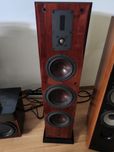 Dali helicon 800