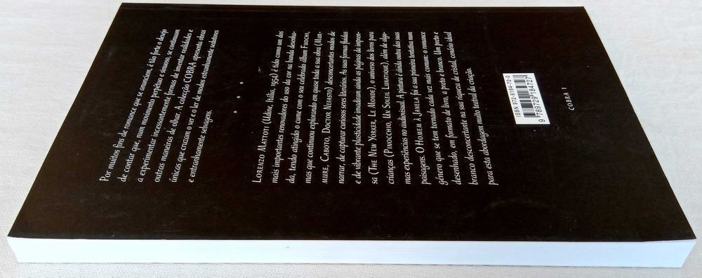 O Homem à Janela de Lorenzo Mattotti e Lilia Ambrosi [Portes Inc]