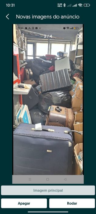 Recolha de monos e entulho.