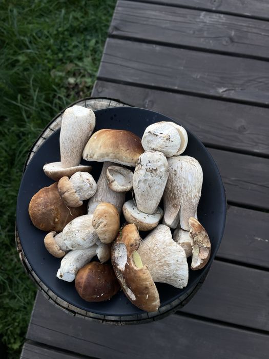 Оренда будинку з чаном в Карпатах | Оренда будинку біля річки