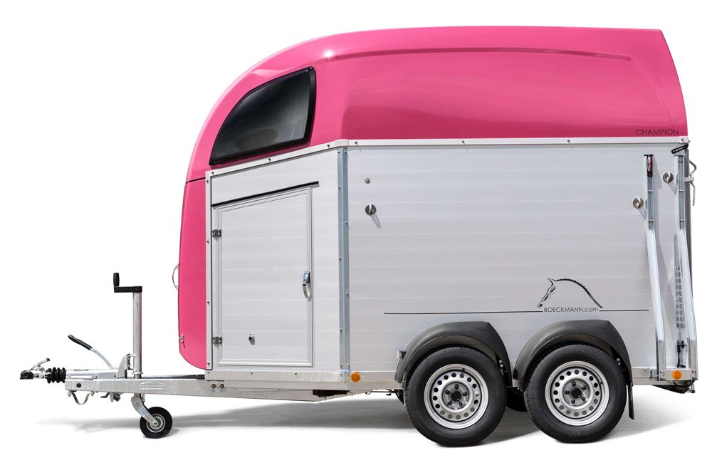 Wynajem przyczep dla koni  1000kgDMC na kat B  Solnica Gdansk Elblag