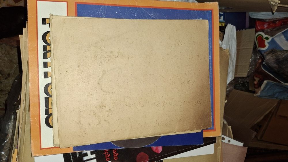 M Teixeira gomes Ana Rosa 1941 novela erótica