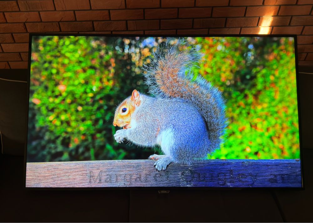 Telewizor LED Philips 65 cali 4K Netlix, Youtube