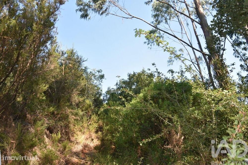 Terreno em Chãos de 8600,00 m2