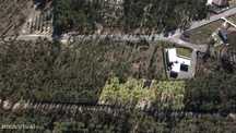 Terreno Florestal