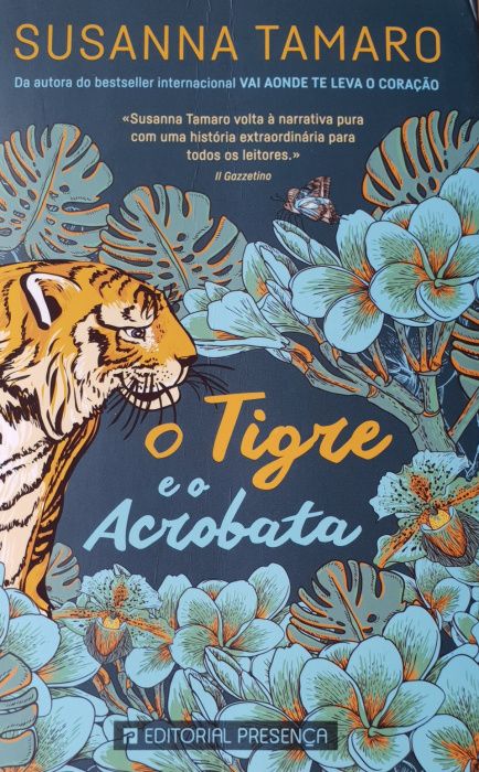 Livros de literatura juvenil em bom estado