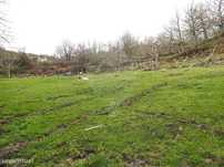 Terreno  para venda
