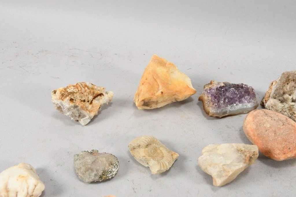 Kolekcja minerałów i skamielin– 1,5 kg Ametyst, muszle, skamieniałości