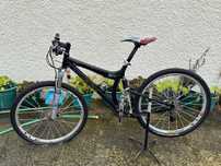 Bicicleta profissional