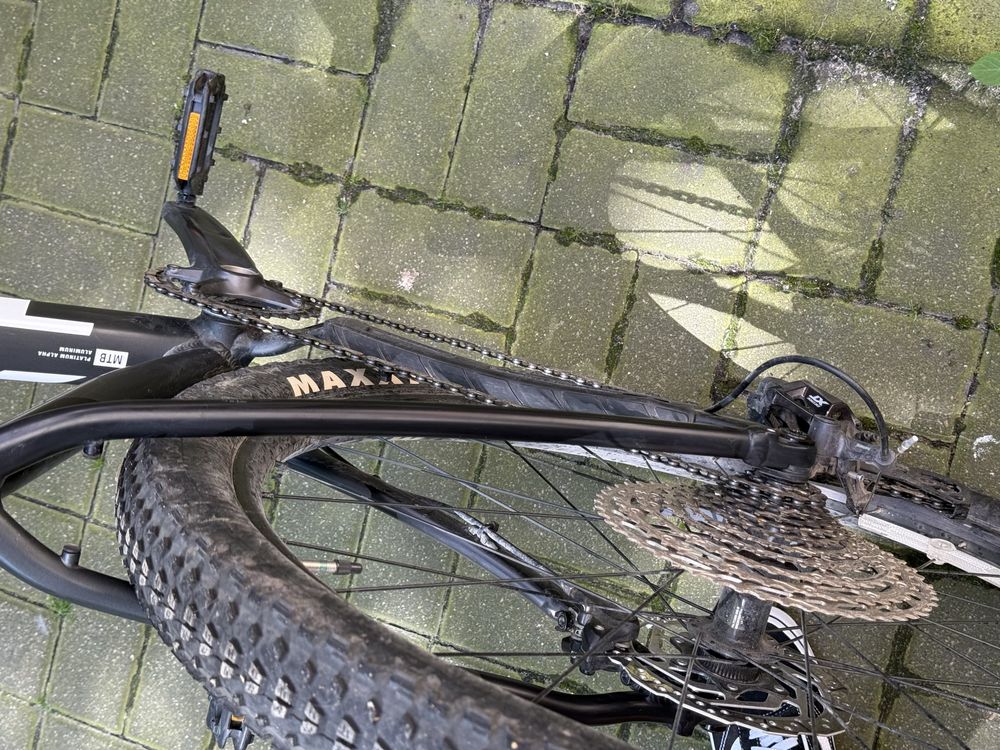 rower Trek Procaliber 6 (rozmiar ramy L)