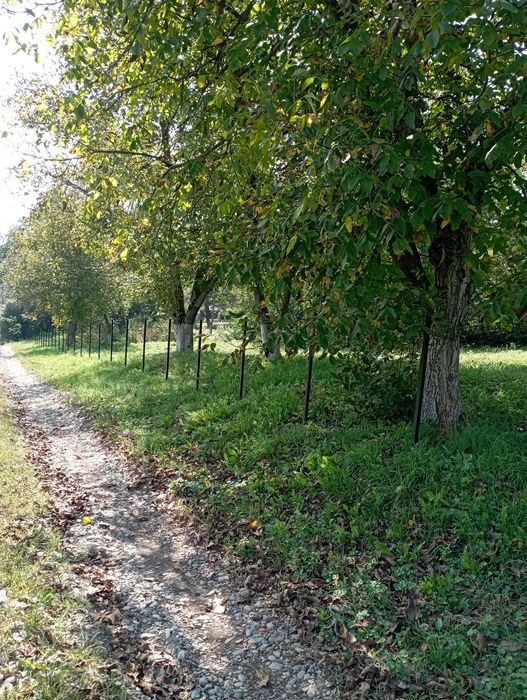 Продам хату з великою територією!