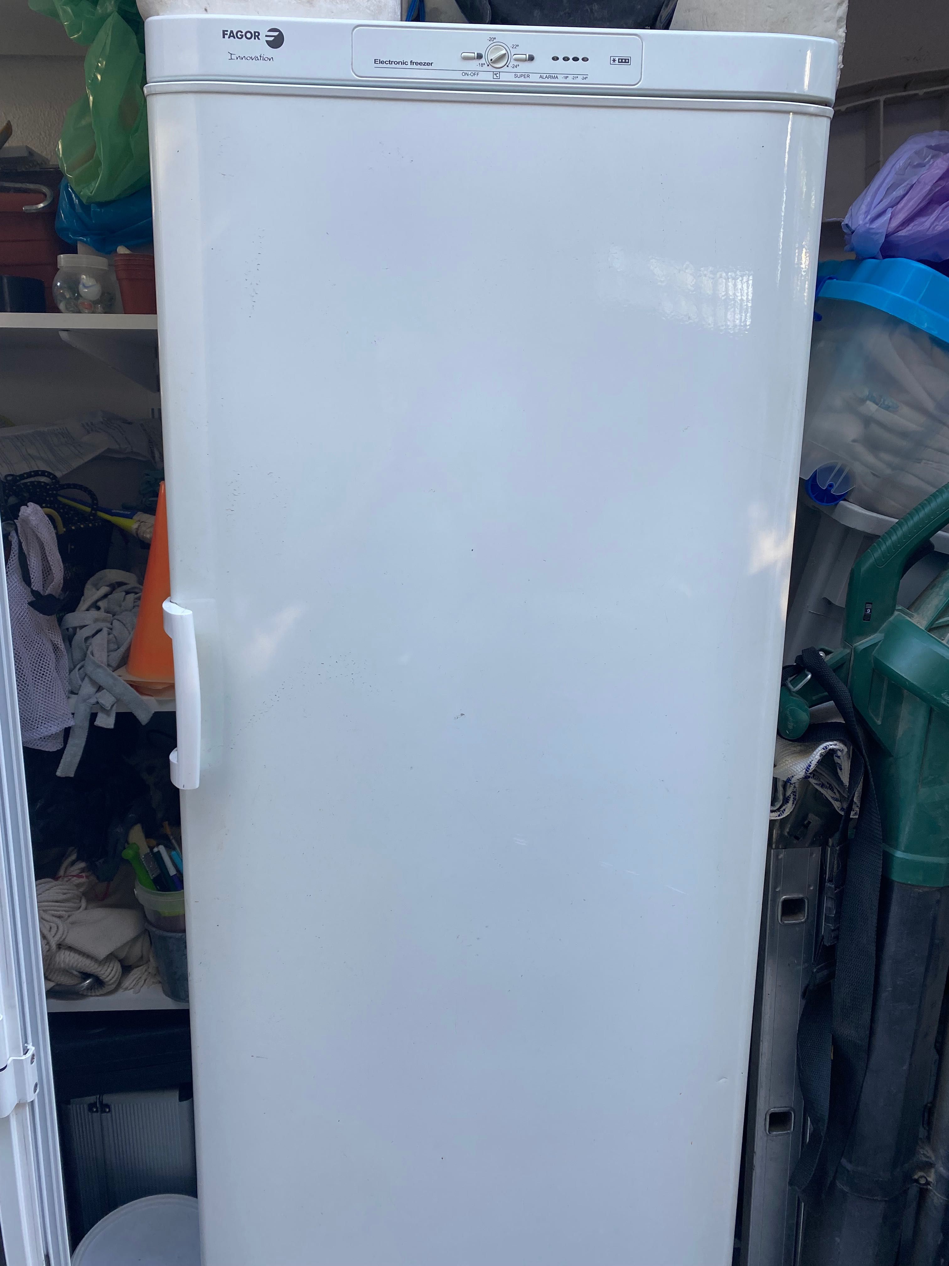 Arca frigorífica vertical Fagor (180cm)