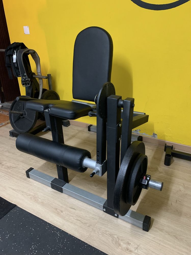 Leg Curl/Extension