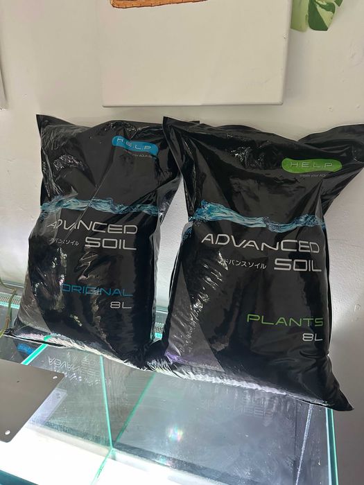 Terrarium szklane - duże drzewołazy gekony jaszczurki wąż rośliny