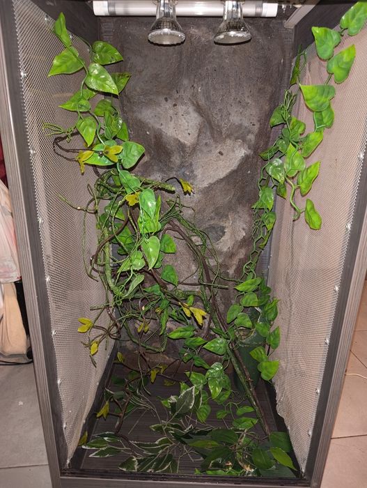 Terrarium dla kameleona 50x50x100