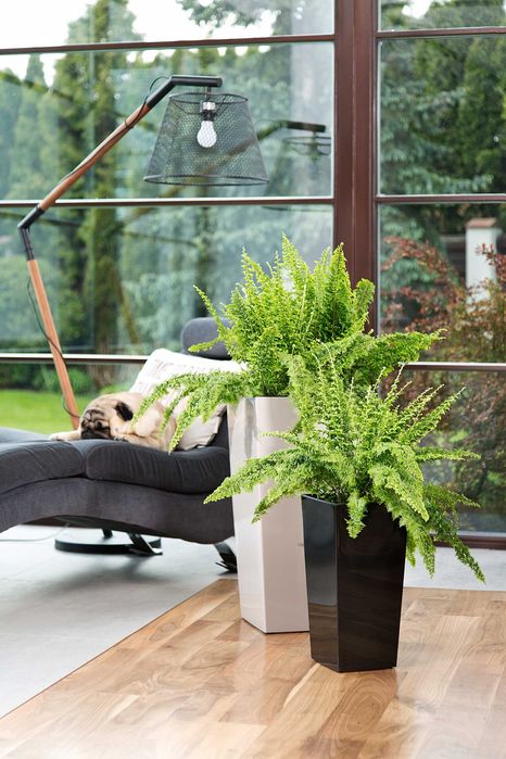 DONICZKA Lamela FINEZJA 30x30 h 57 + wkład Biała