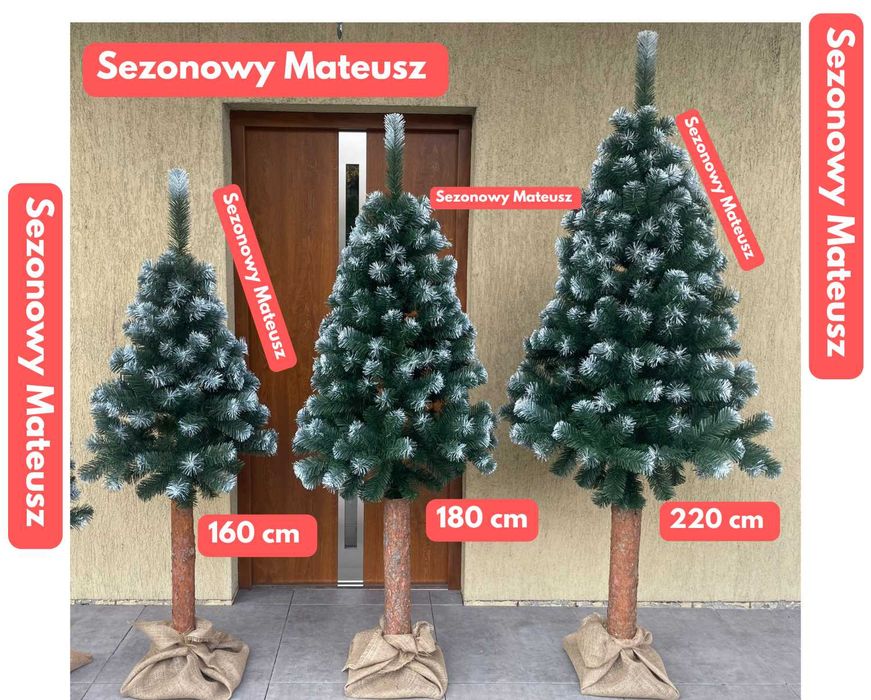 Sosna diamentowa na pniu 220 cm Choinka sztuczna 180 cm 160 cm choinki