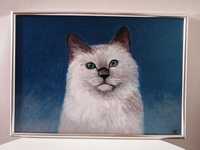 Obraz akrylowy kot akryl na płótnie