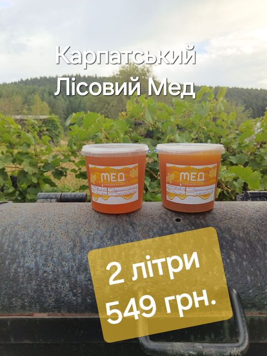 Мед з Карпат  2 л. + Подарунок 3 чашки ферментованого Іван - чаю