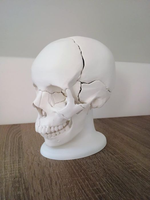 Drukarka 3D Creality Ender 5 pro