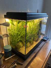 Aquario 50l completo