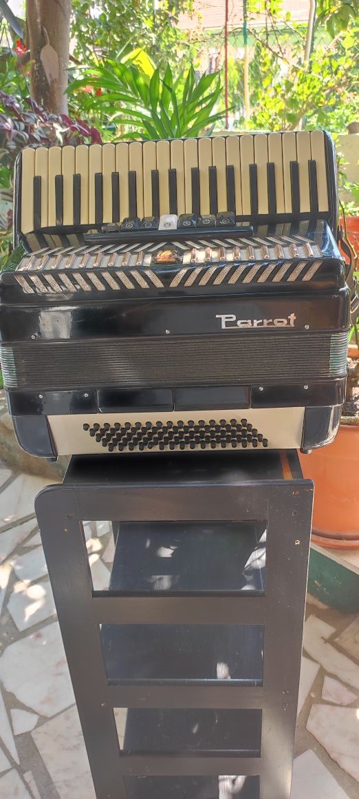 acordeon parrot 80 baixos