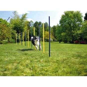 Slalom treningowy dla psa