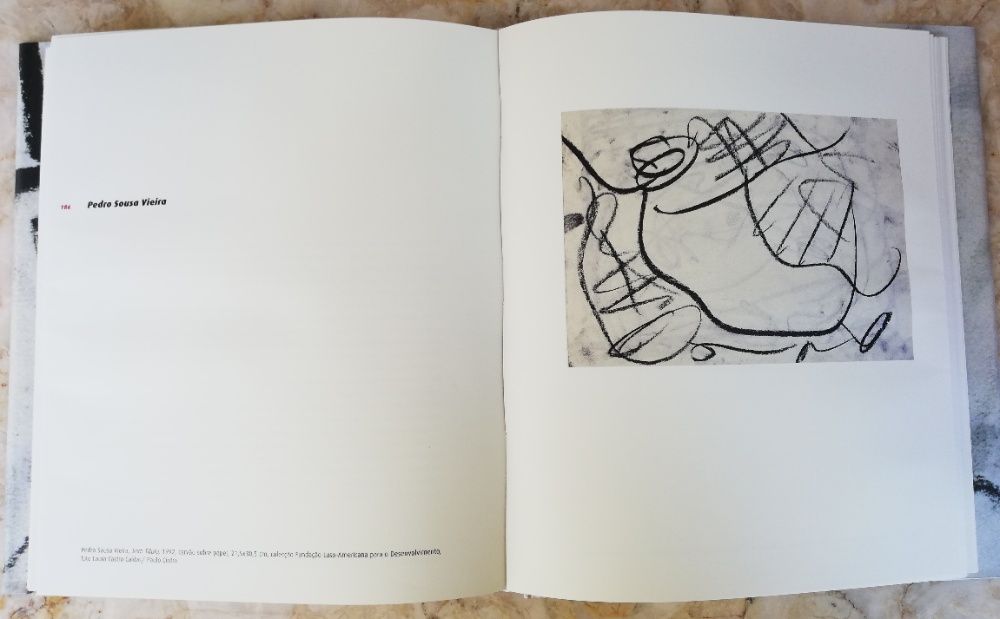 Livro - O Génio do Olhar