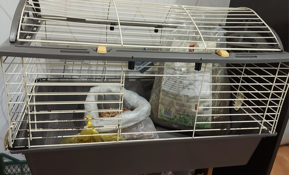 Клітка для гризунів велика