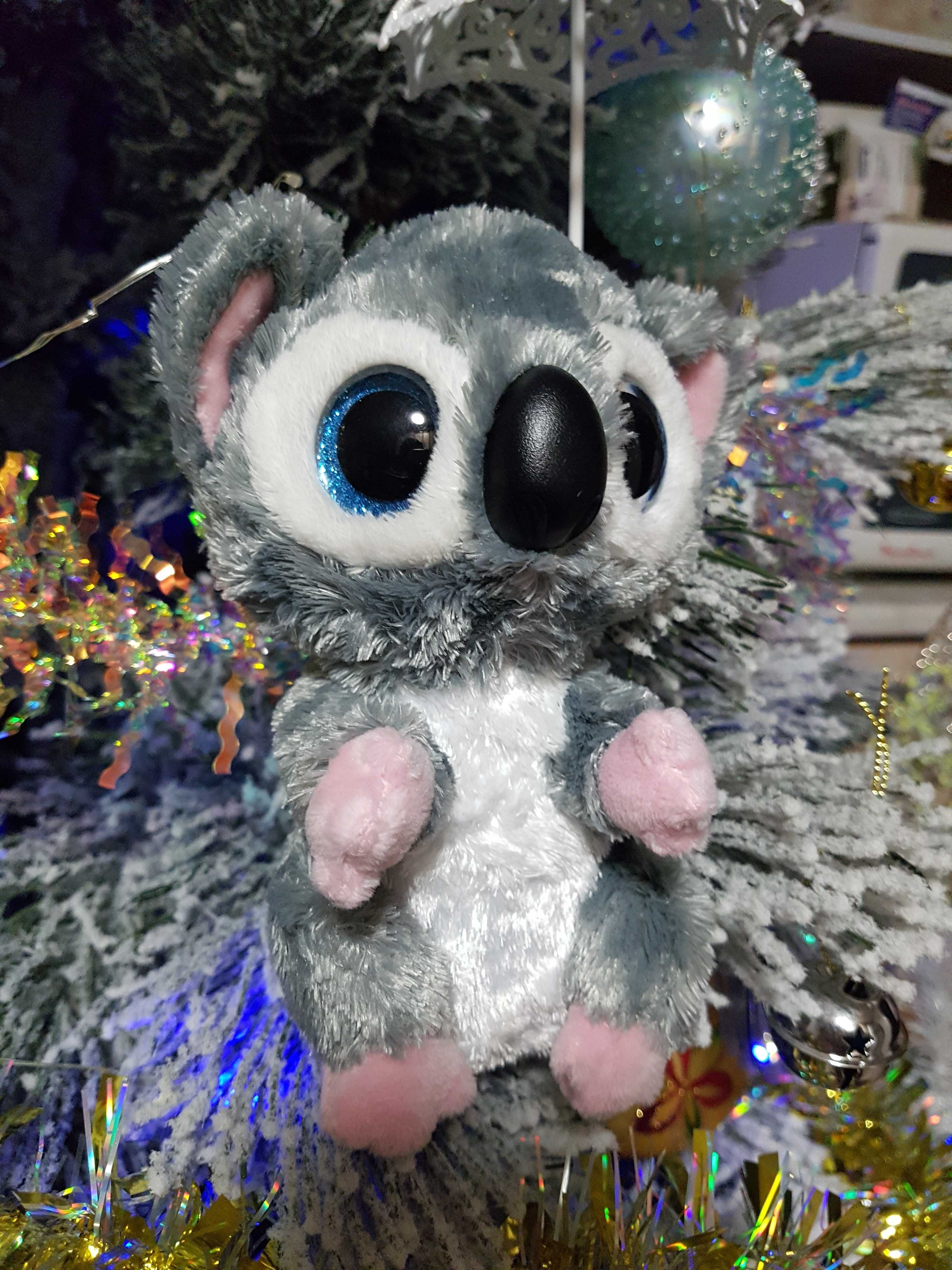 TY Beanie Boos глазастик коала Katy Koala 15 см