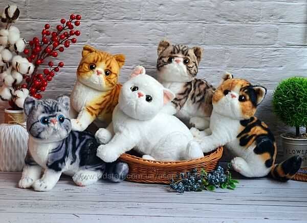 Мягкие игрушки кот, мягкая игрушка реалистичный кот Экзот