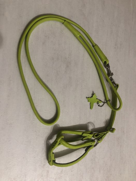 Шлейки для собак  COLLAR