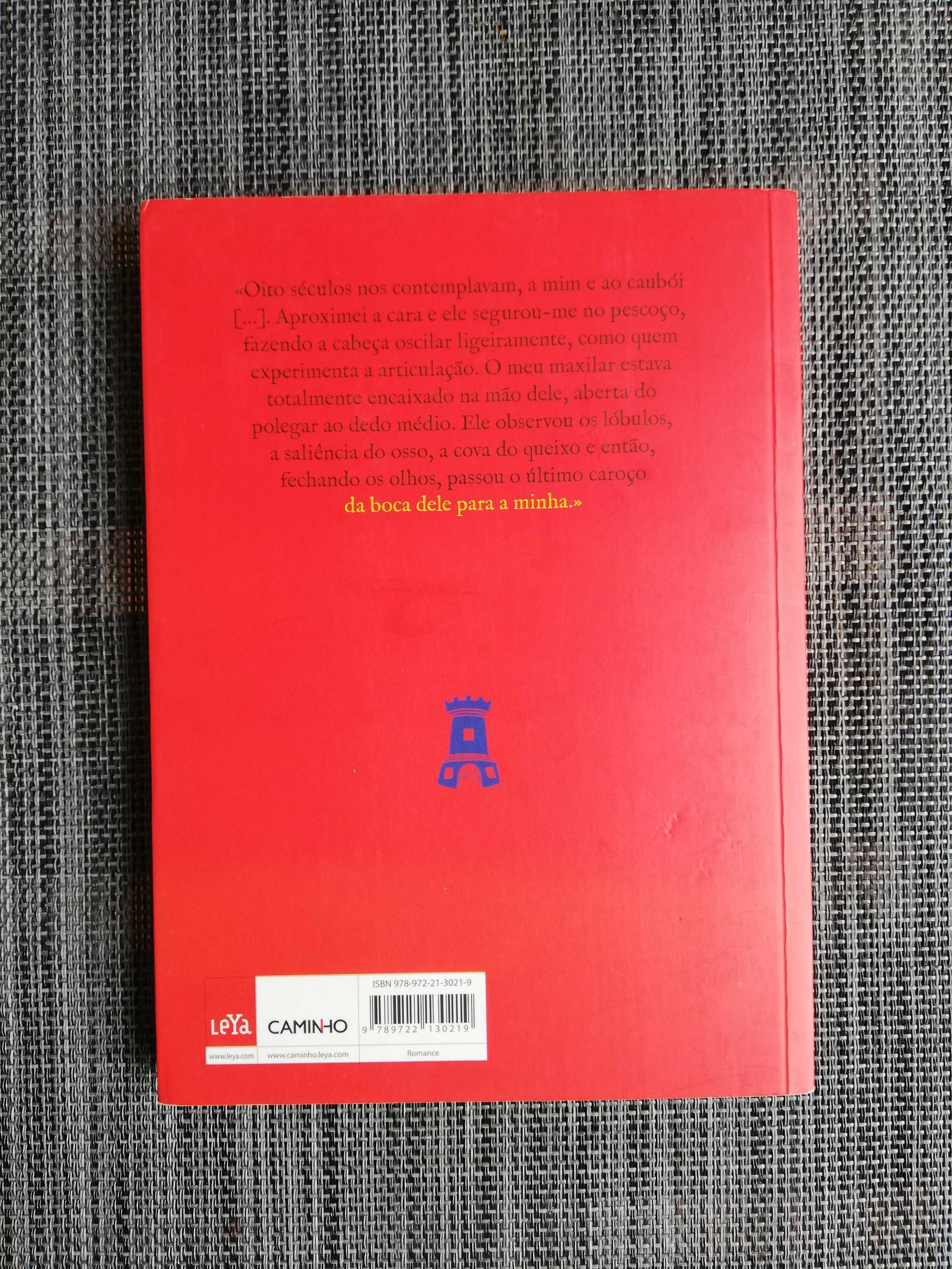 O Meu Amante de Domingo - Alexandra Lucas Coelho