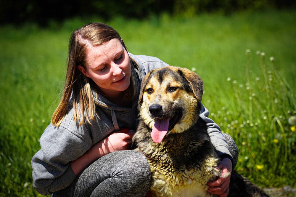 Dobosz radosny energiczny piesek