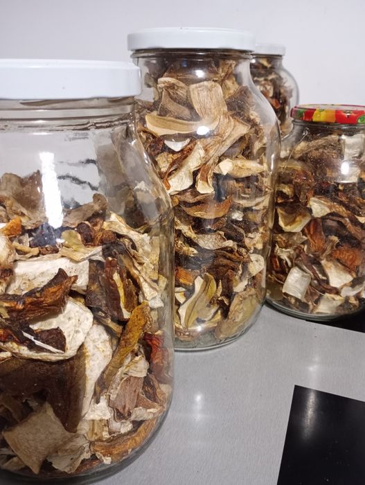 Grzyby Prawdziwki borowiki szlachetne suszone