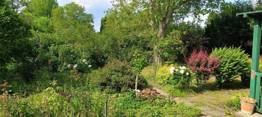 Działka ROD "Nad Jeziorem"