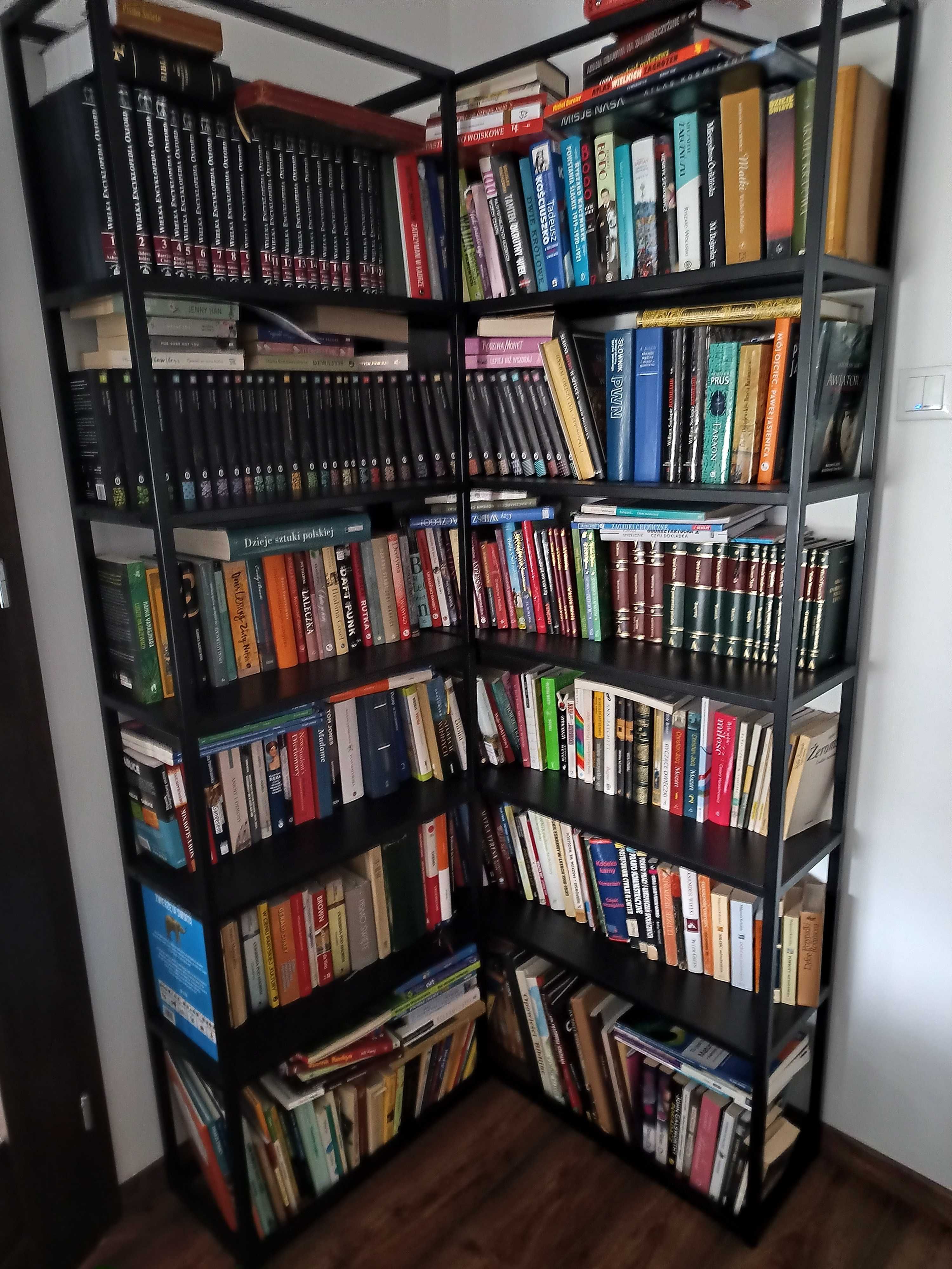Biblioteka narożna