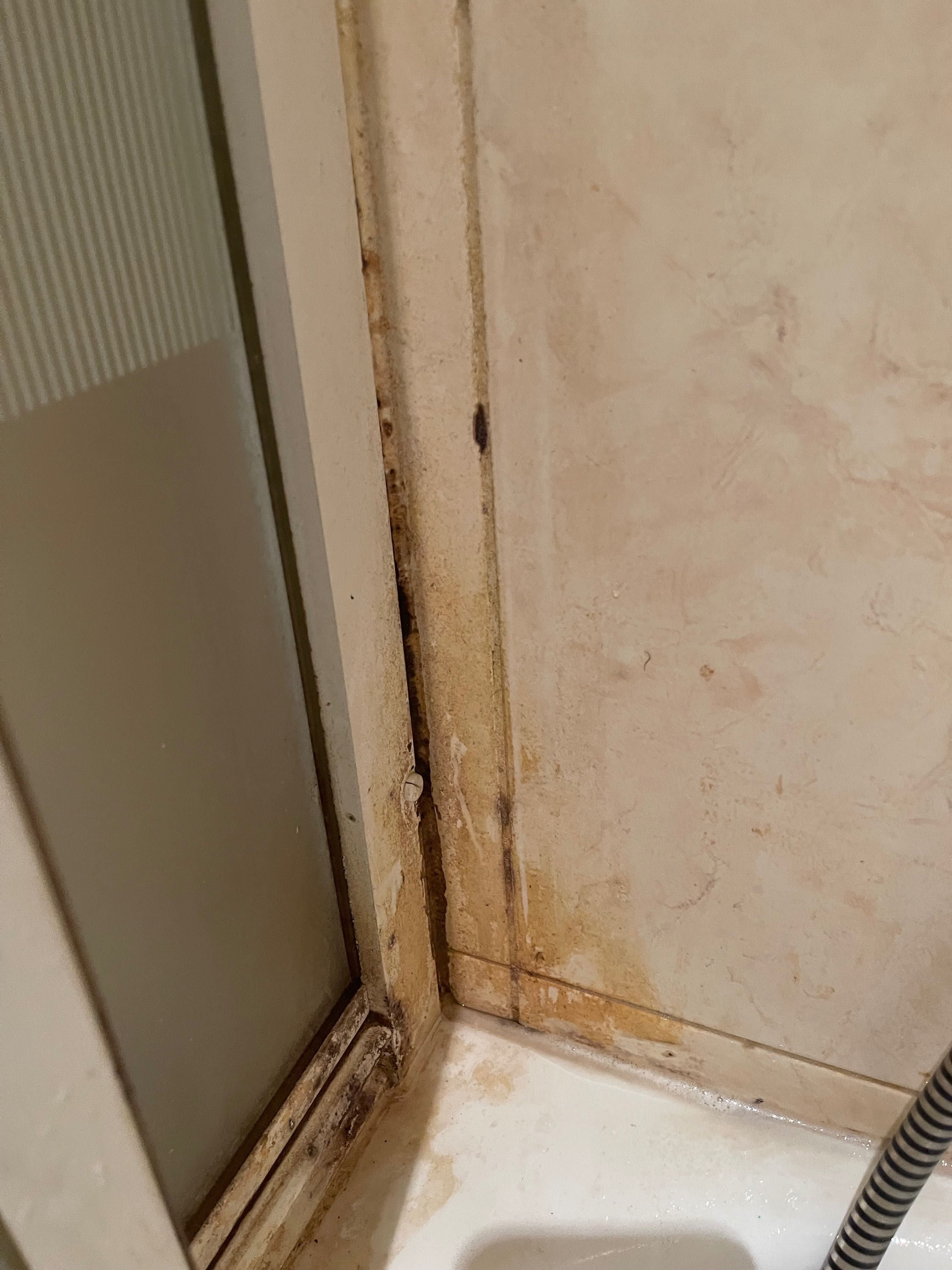 Sprzątanie i mycie okien 7 dni w tygodniu Częstochowa i okolice